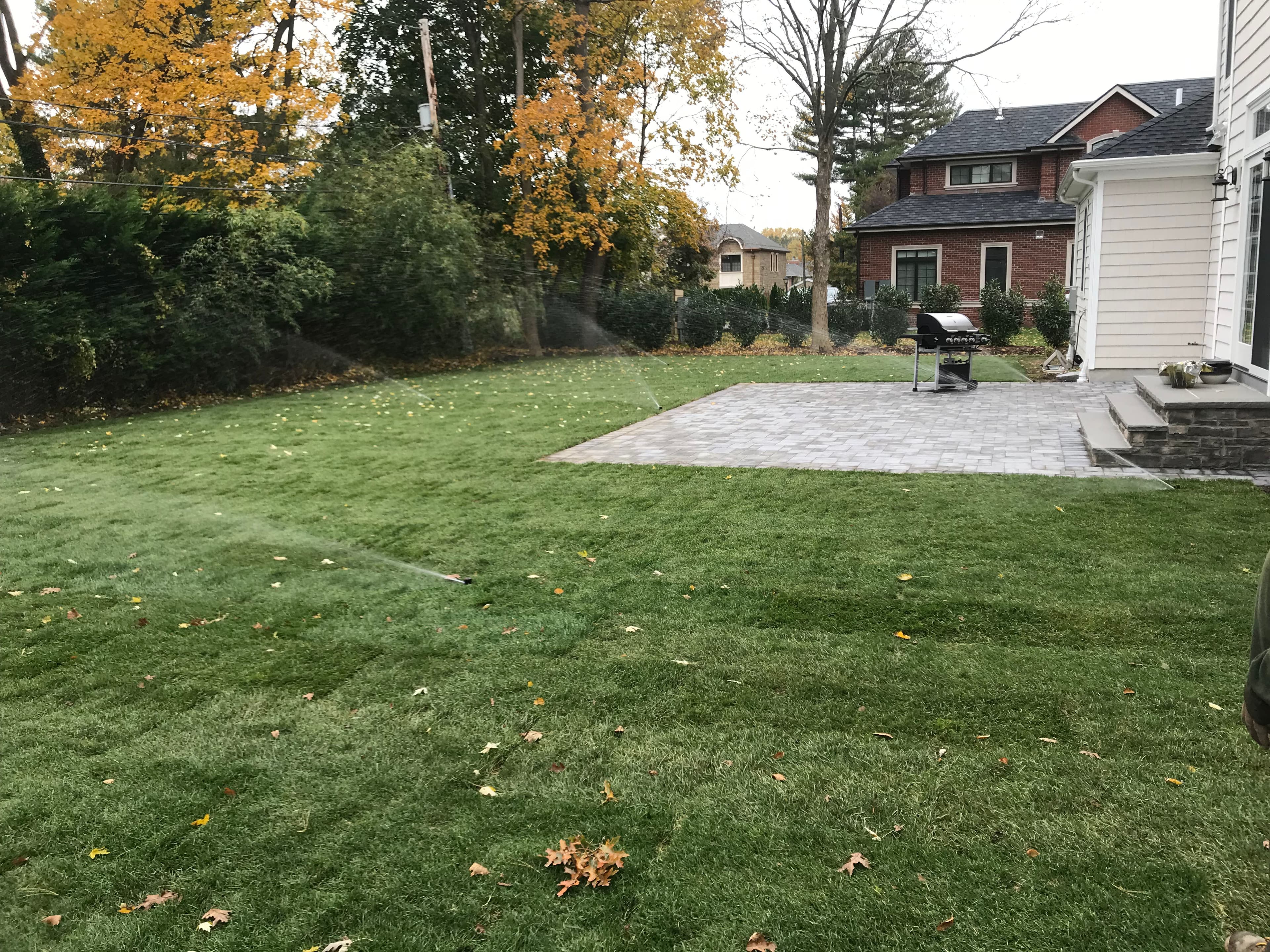 Project Stunning Lawn Transformation with Fresh Sod Installation image