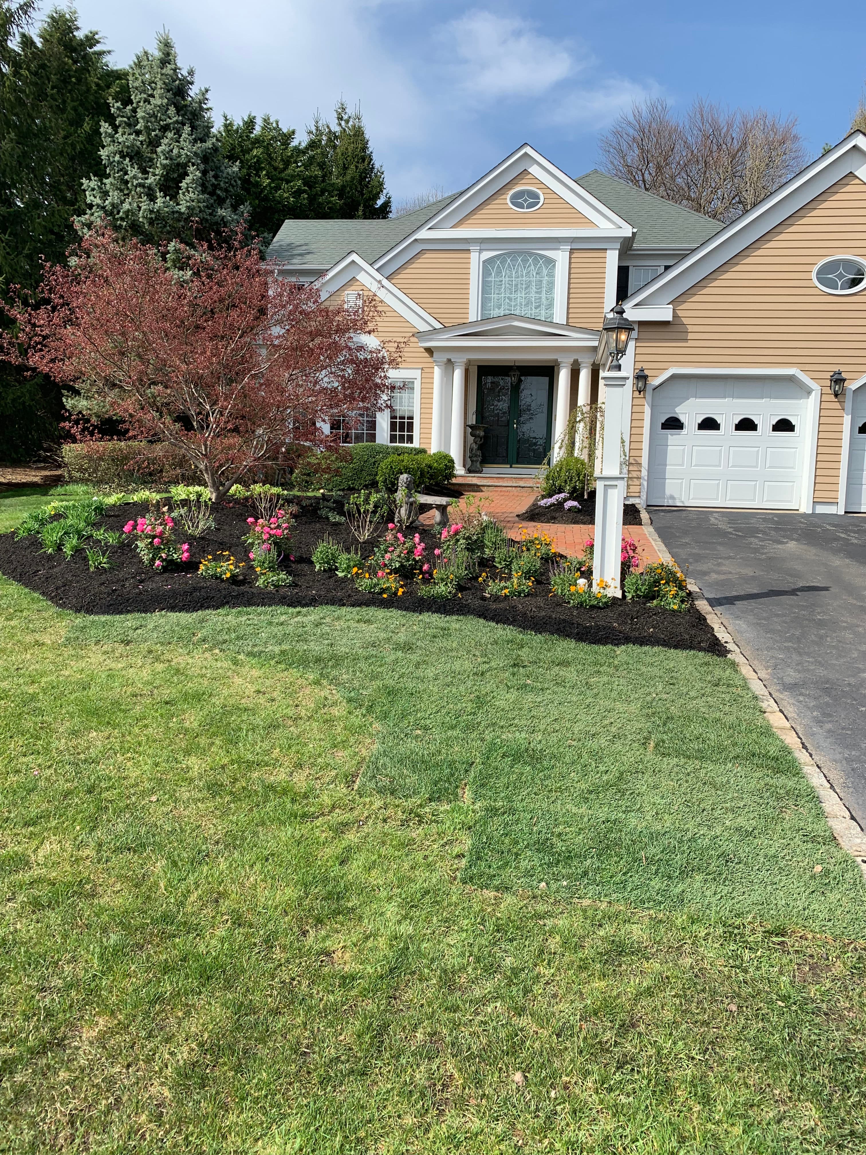Project From Overgrown to Outstanding - A Front Yard Landscape Redesign image