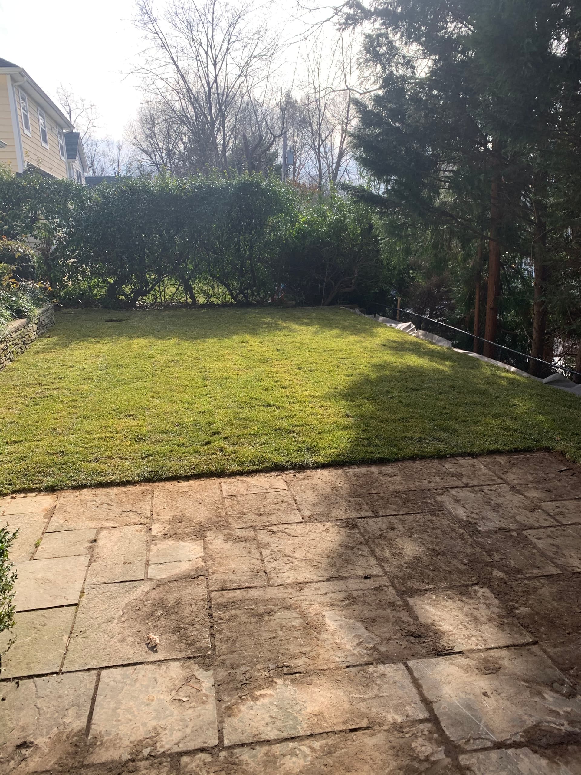 Gallery photos for Failed Retaining Wall Replaced With Railroad Ties and Fresh Sod: Image #1