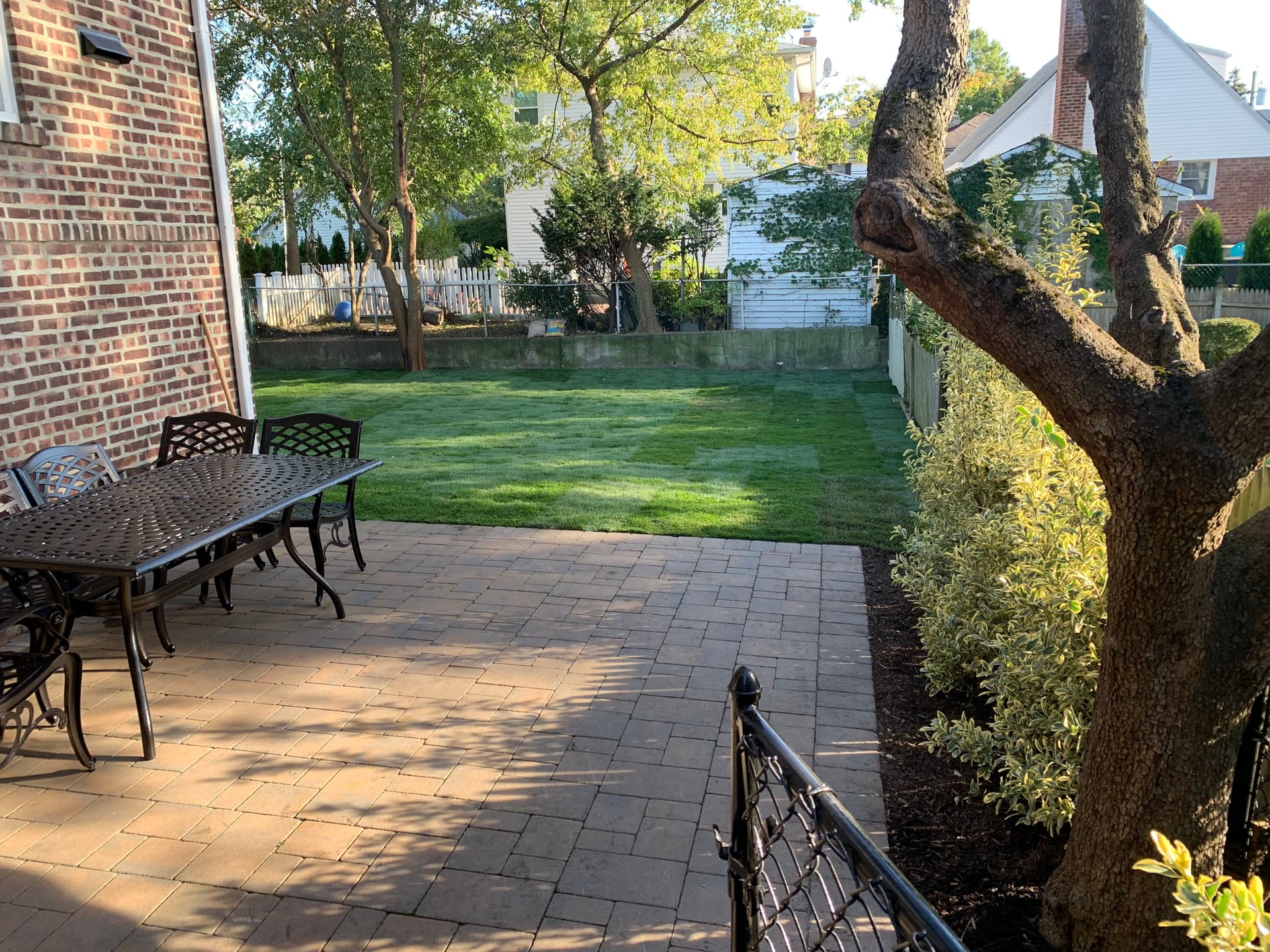 Gallery photos for Overgrown Backyard Cleared and Sodded for New Homeowners: Image #2