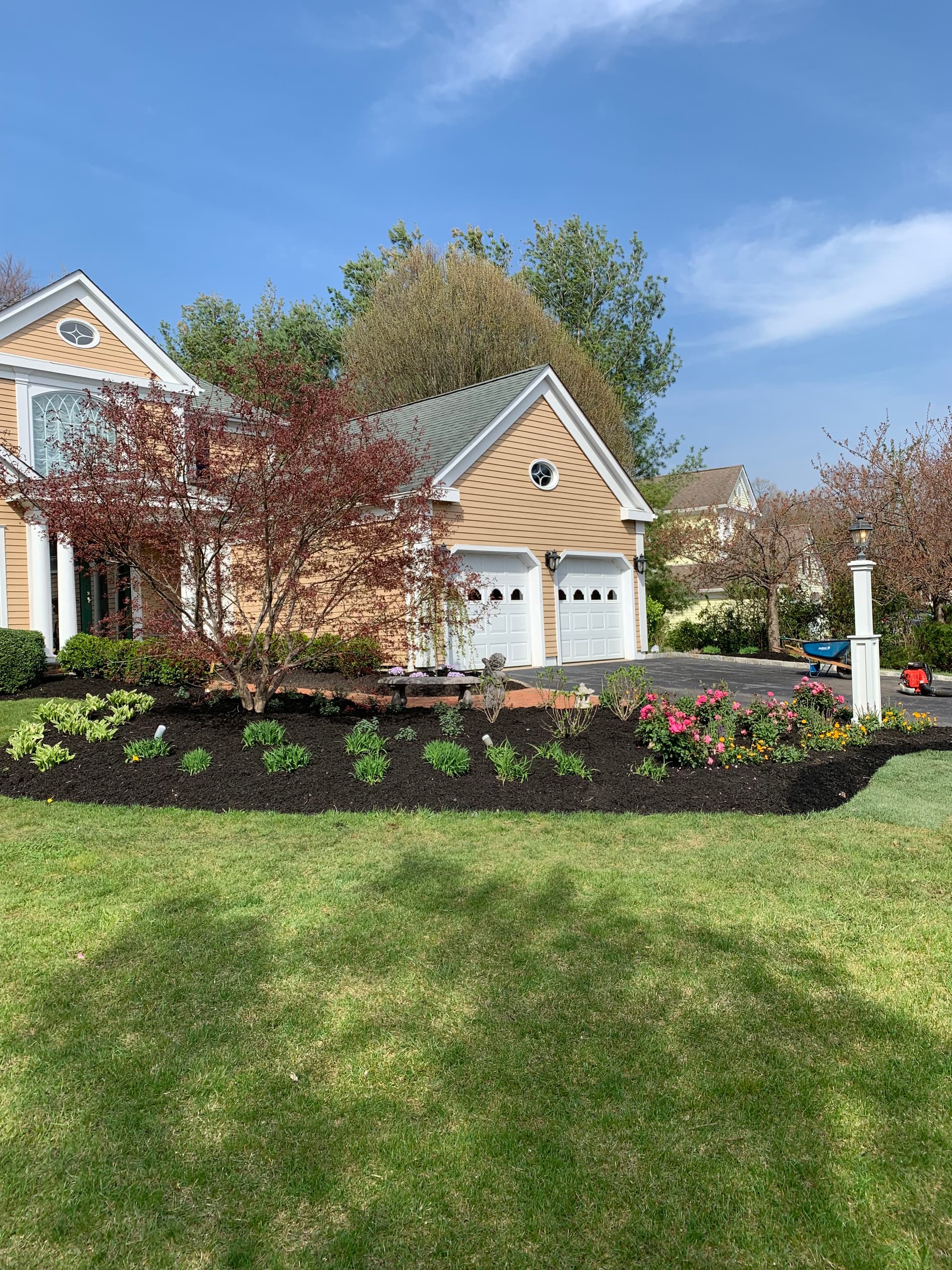 Gallery photos for From Overgrown to Outstanding - A Front Yard Landscape Redesign: Image #1