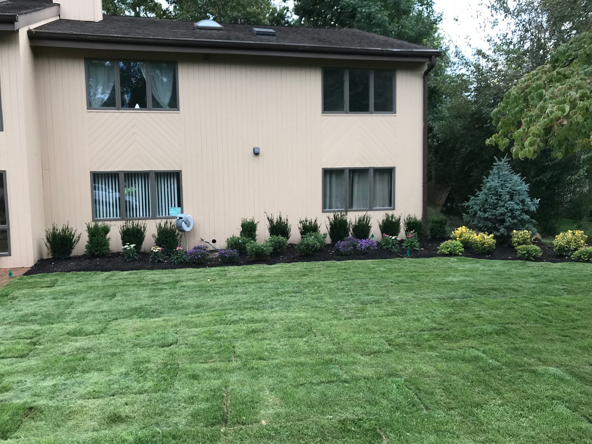 Lush Landscaping Mastery by Everlasting Landscape Design Inc.