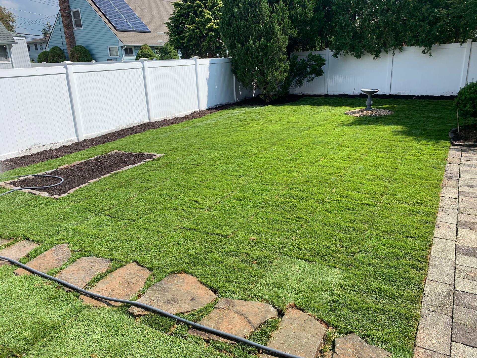 Gallery photos for From Overgrown and Neglected to a Clean Backyard Lawn: Image #1