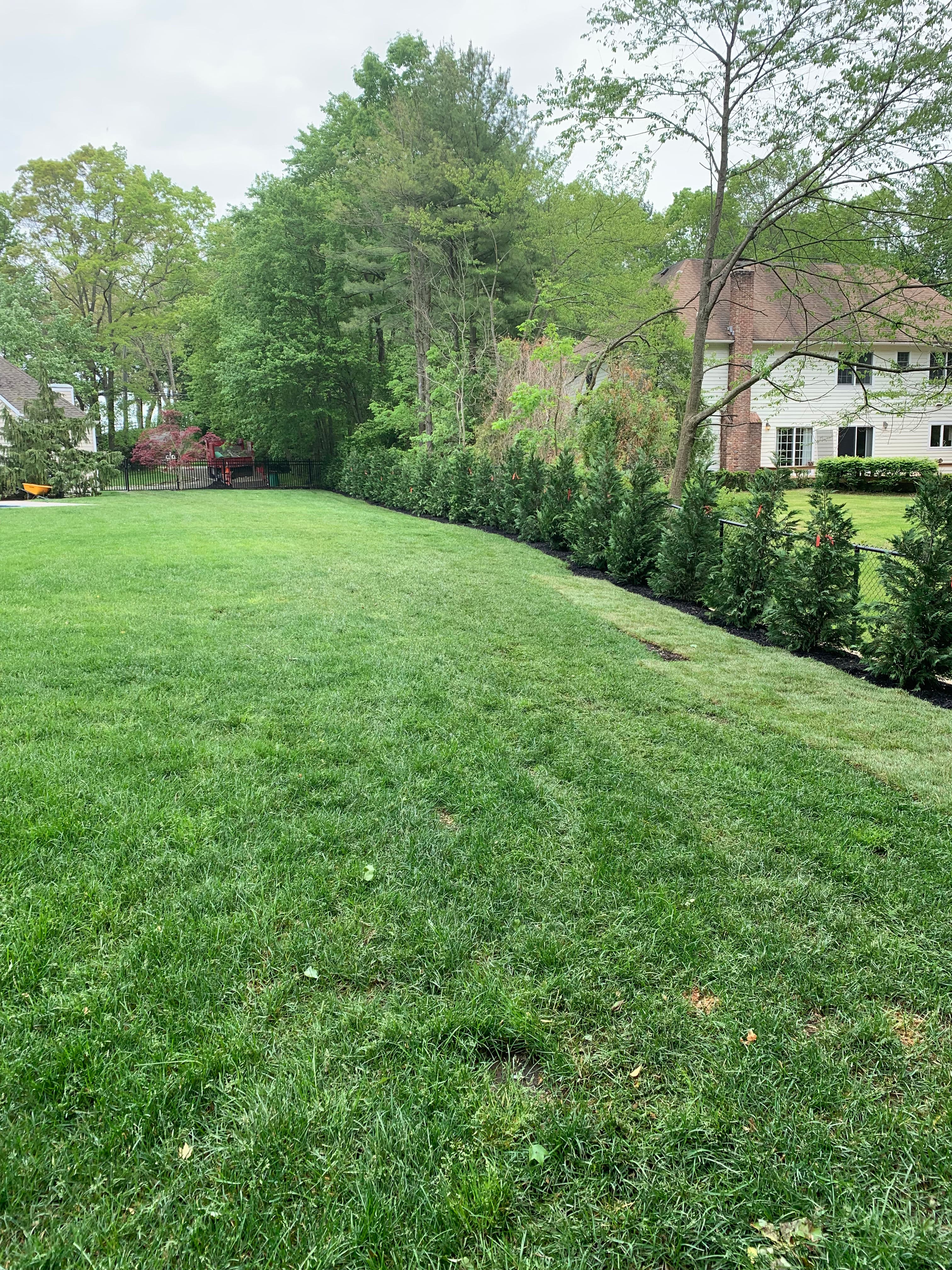 Project Privacy Trees That Actually Do the Job image