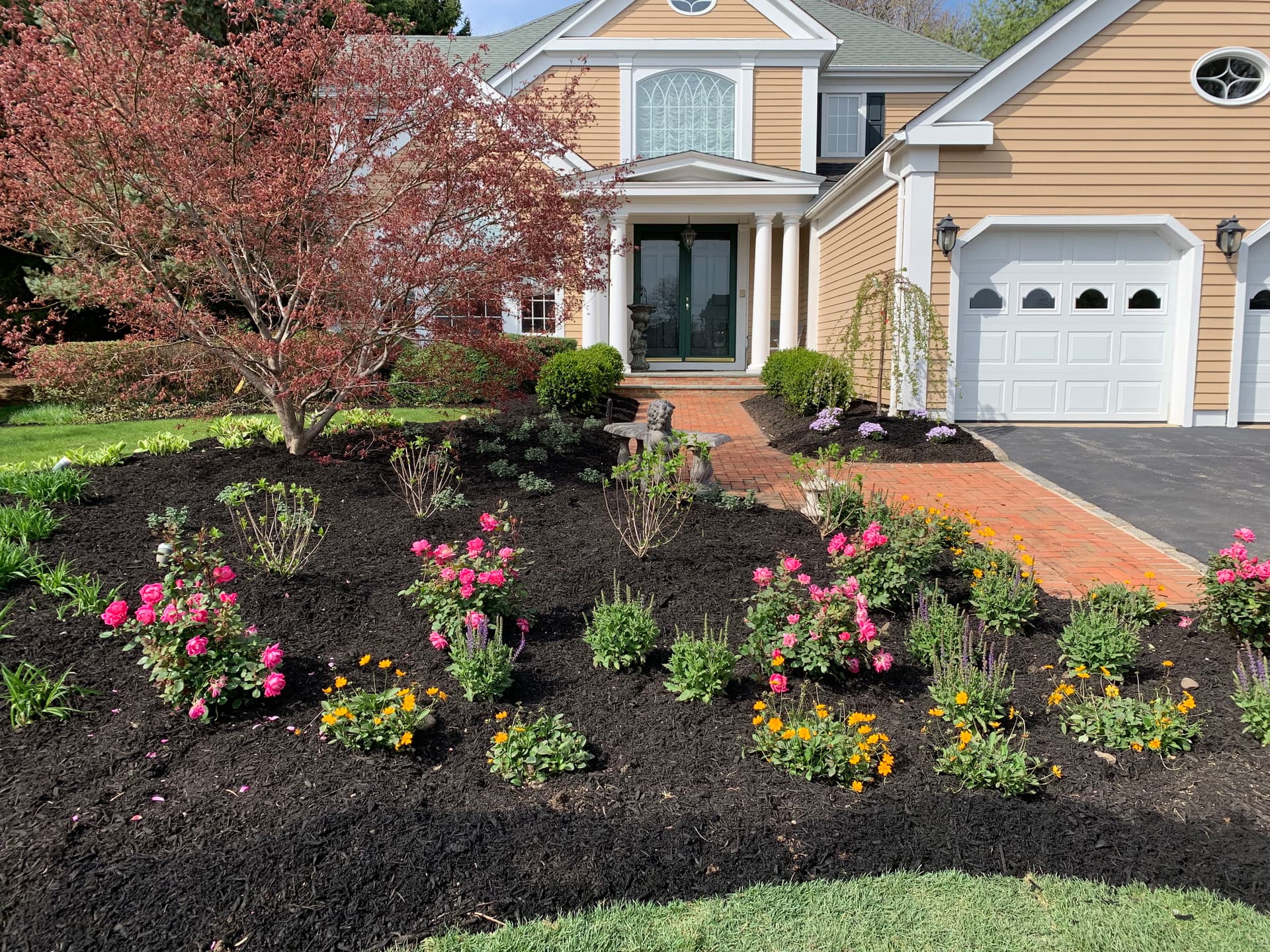 Gallery photos for From Overgrown to Outstanding - A Front Yard Landscape Redesign: Image #2
