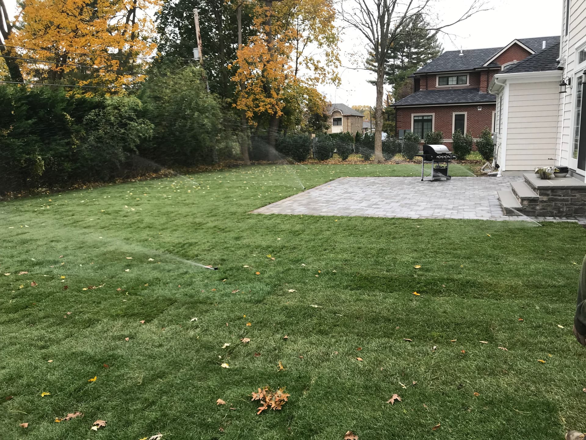 Stunning Lawn Transformation with Fresh Sod Installation image