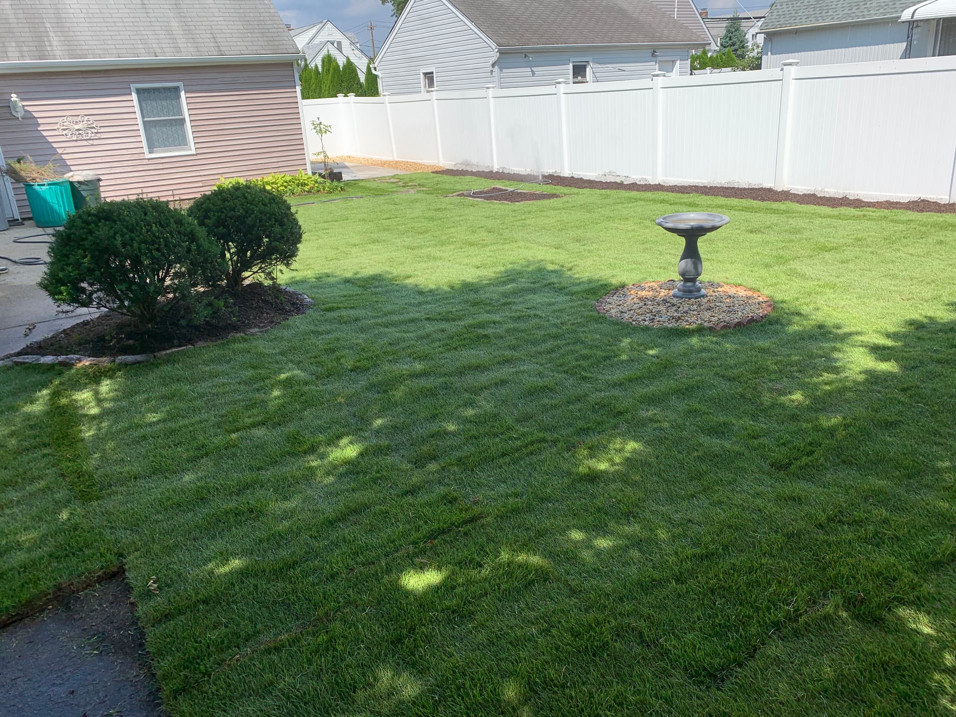 From Overgrown and Neglected to a Clean Backyard Lawn image