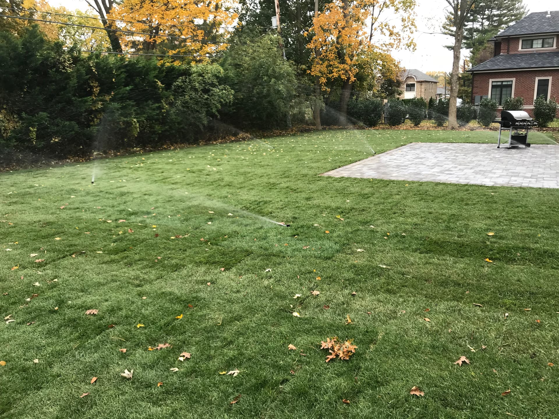 Gallery photos for Stunning Lawn Transformation with Fresh Sod Installation: Image #1