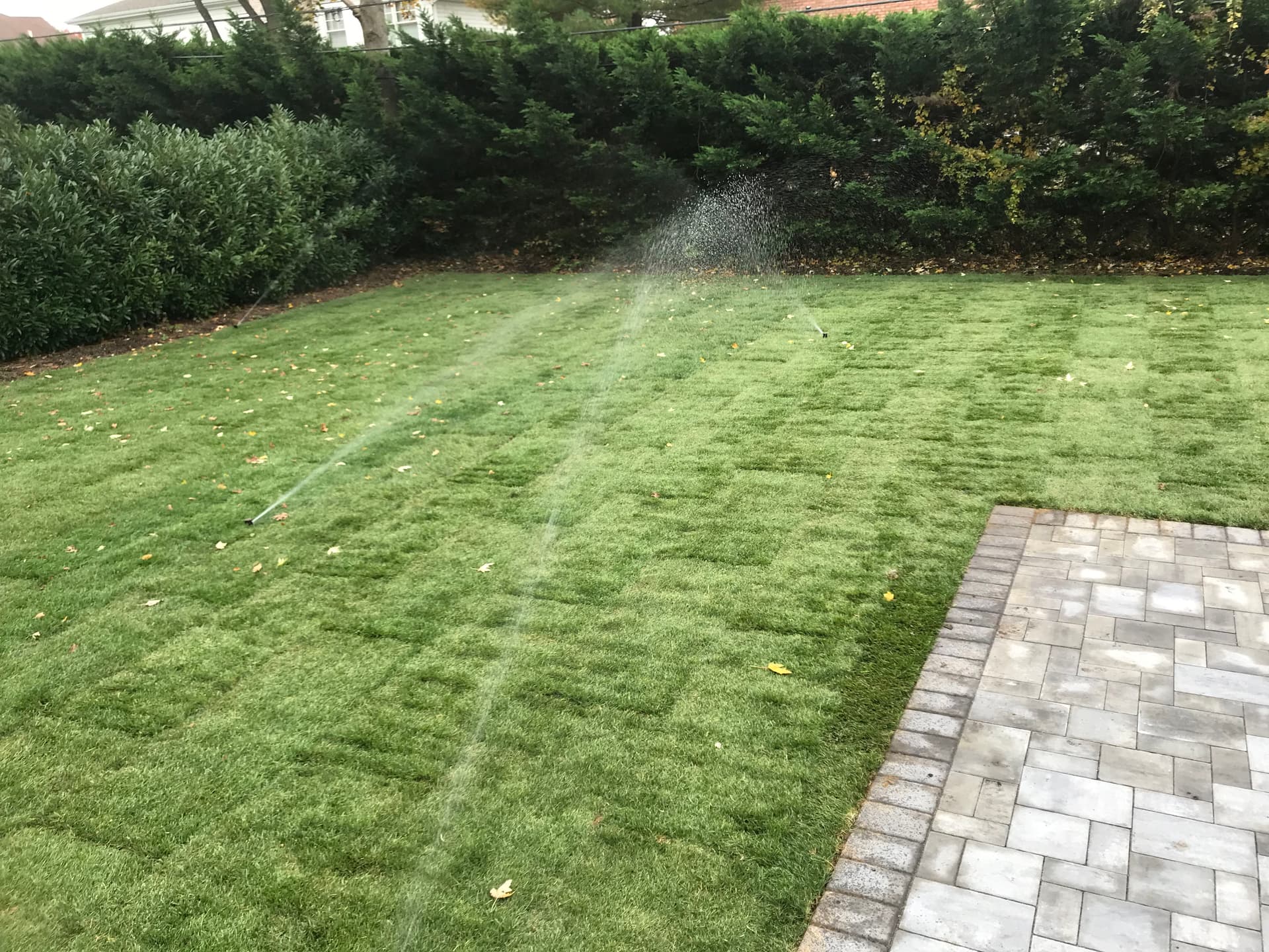 Gallery photos for Stunning Lawn Transformation with Fresh Sod Installation: Image #2